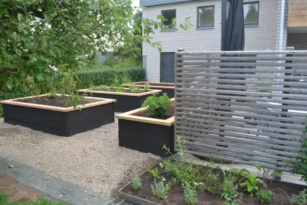 Snygga svarta odlingslådor med träkant ger inspiration för en modern trädgård. Planteringar med grönska och en träskärm.